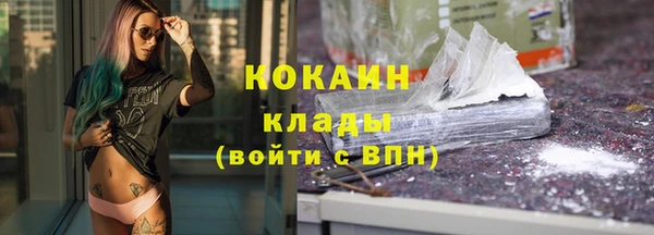 хмурый Алексин