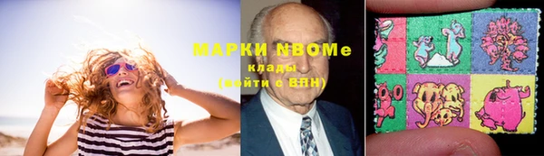 хмурый Алексин