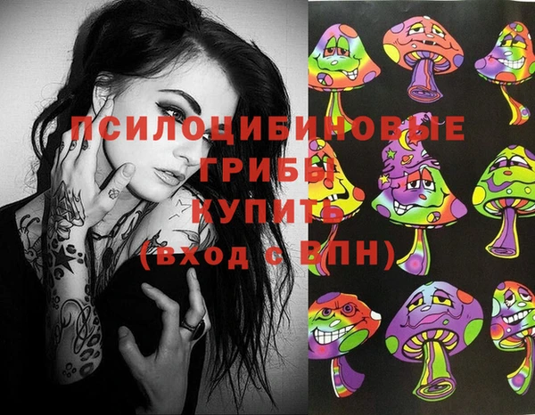хмурый Алексин